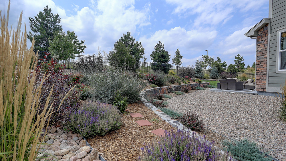 xeriscaping-AdobeStock_307720558_11868_2023-12-01_08-22